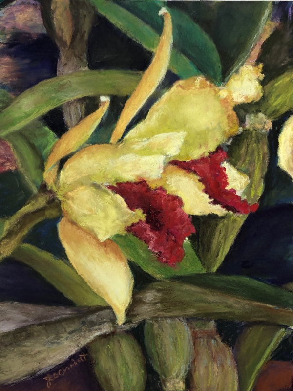 The Grand Opening - Cattleya II by artist Julie Schmidt